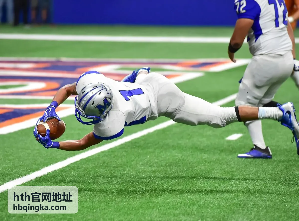 hth官网地址入口核验与页面识别示意
